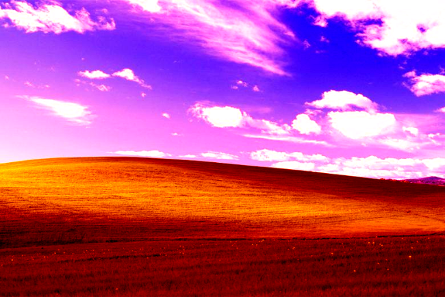 An Example image using the color filter
