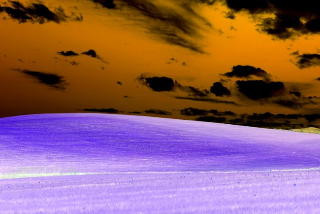 An Example image using the invert filter